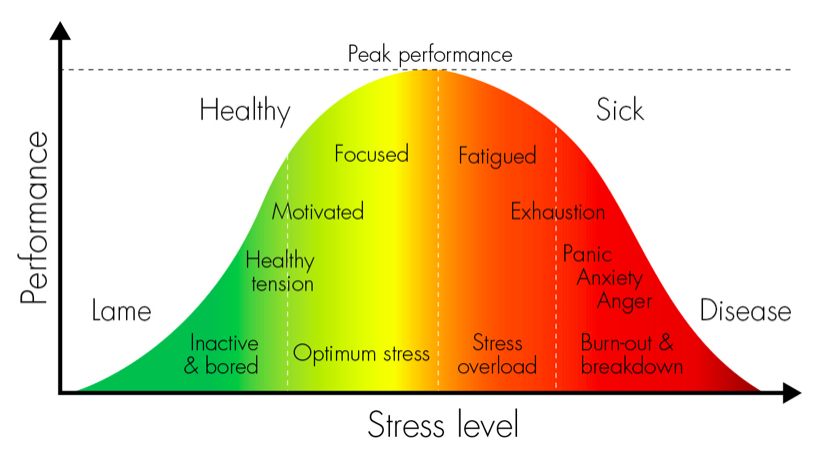 Факторы Влияющие На Развитие Стресса Реферат