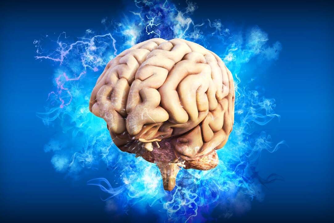 Иллюстрация к новости: Запущена программа микродигри НИУ ВШЭ (ДПО) "Прикладная когнитивная нейронаука"